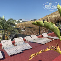 фото из отзыва ID 2226445