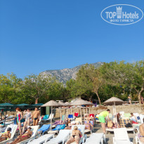 фото из отзыва ID 2226561