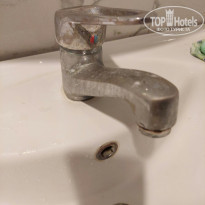 фото из отзыва ID 2226561