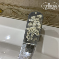 фото из отзыва ID 2226573