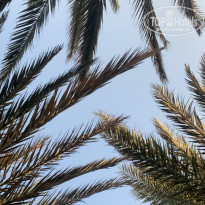 фото из отзыва ID 2226573