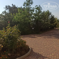 фото из отзыва ID 2226643