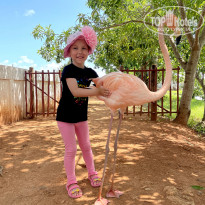 фото из отзыва ID 2226635