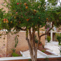 фото из отзыва ID 2226785