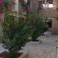 фото из отзыва ID 2226785