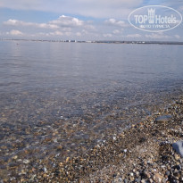 фото из отзыва ID 2226832