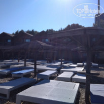 фото из отзыва ID 2226832