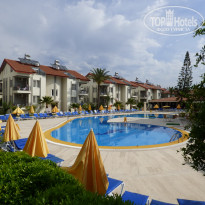 фото из отзыва ID 2226870