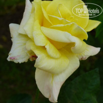 фото из отзыва ID 2226870