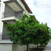 фото из отзыва ID 2226870