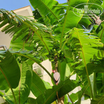 фото из отзыва ID 2226893