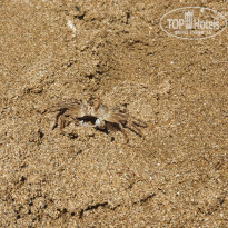 фото из отзыва ID 2226893