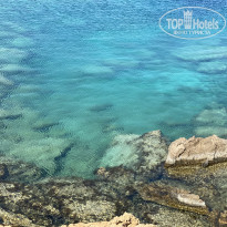 фото из отзыва ID 2226927