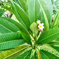 фото из отзыва ID 2226663