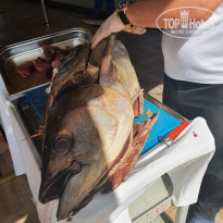 фото из отзыва ID 2226995