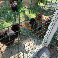 фото из отзыва ID 2227157