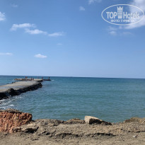 фото из отзыва ID 2227157