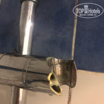 фото из отзыва ID 2227167