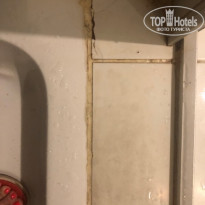 фото из отзыва ID 2227167