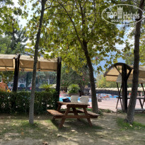 фото из отзыва ID 2227147