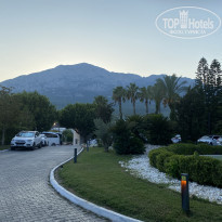 фото из отзыва ID 2227147