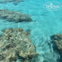 фото из отзыва ID 2227067