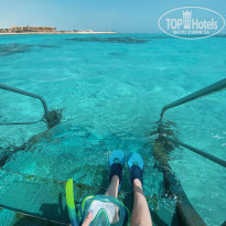 фото из отзыва ID 2227067