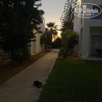 фото из отзыва ID 2227361