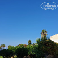 фото из отзыва ID 2227388