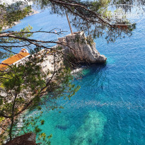 фото из отзыва ID 2227388