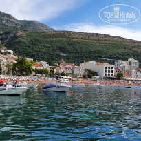 фото из отзыва ID 2227388