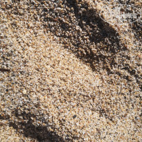 фото из отзыва ID 2227452