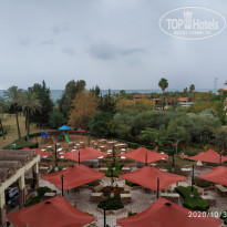 фото из отзыва ID 2226271