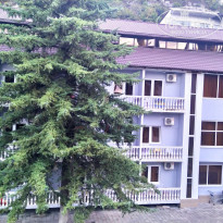 фото из отзыва ID 2227642