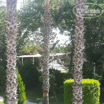 фото из отзыва ID 2227681