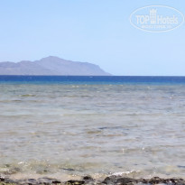 фото из отзыва ID 2227817