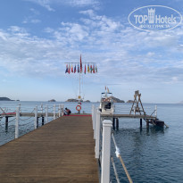 фото из отзыва ID 2227875