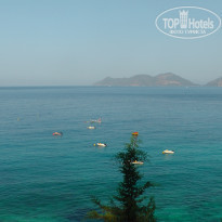 фото из отзыва ID 2227917