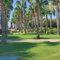 фото из отзыва ID 2227748