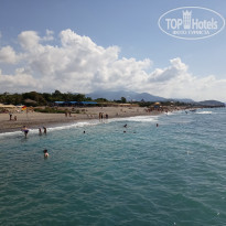 фото из отзыва ID 2227933