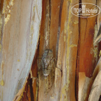 фото из отзыва ID 2227917