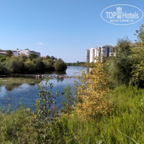 фото из отзыва ID 2228006