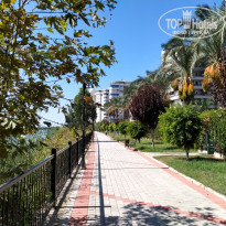 фото из отзыва ID 2228006