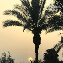 фото из отзыва ID 2228055