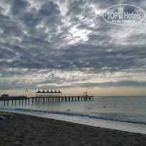 фото из отзыва ID 2228056