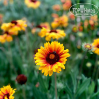 фото из отзыва ID 2228080