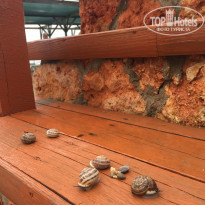 фото из отзыва ID 2228080