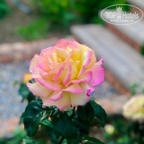 фото из отзыва ID 2228080