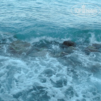 фото из отзыва ID 2227917