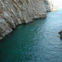 фото из отзыва ID 2227917